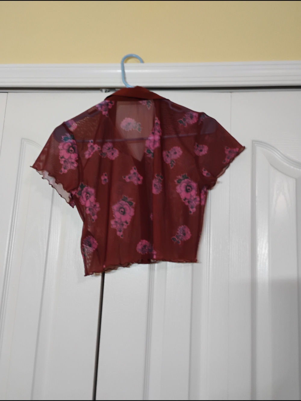 Free People Sheer Rust Button-Up Top with Pink Floral Print - Picture 3 of 9